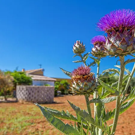 펜션 Lovely In With Wifi